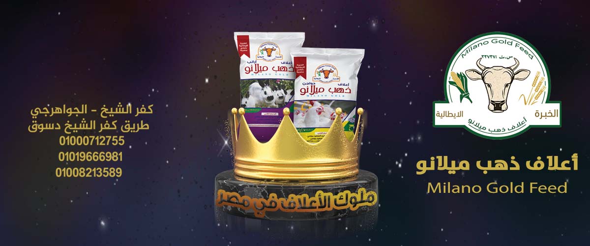 شركات ومصانع الاعلاف: اعلاف ذهب ميلانو