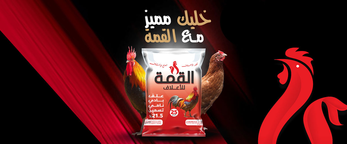  مصانع الاعلاف : مصنع اعلاف القمة 