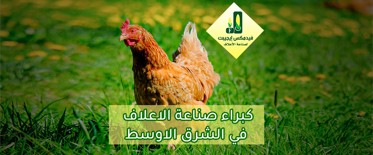  مصانع الاعلاف : مصنع فيدمكس ايجيبت لصناعة الاعلاف 