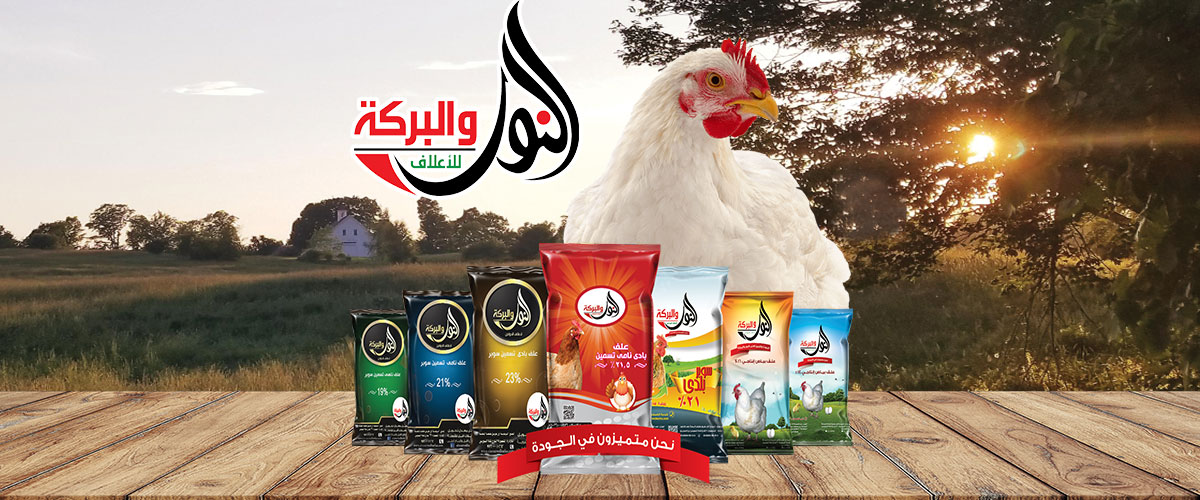 النور والبركة