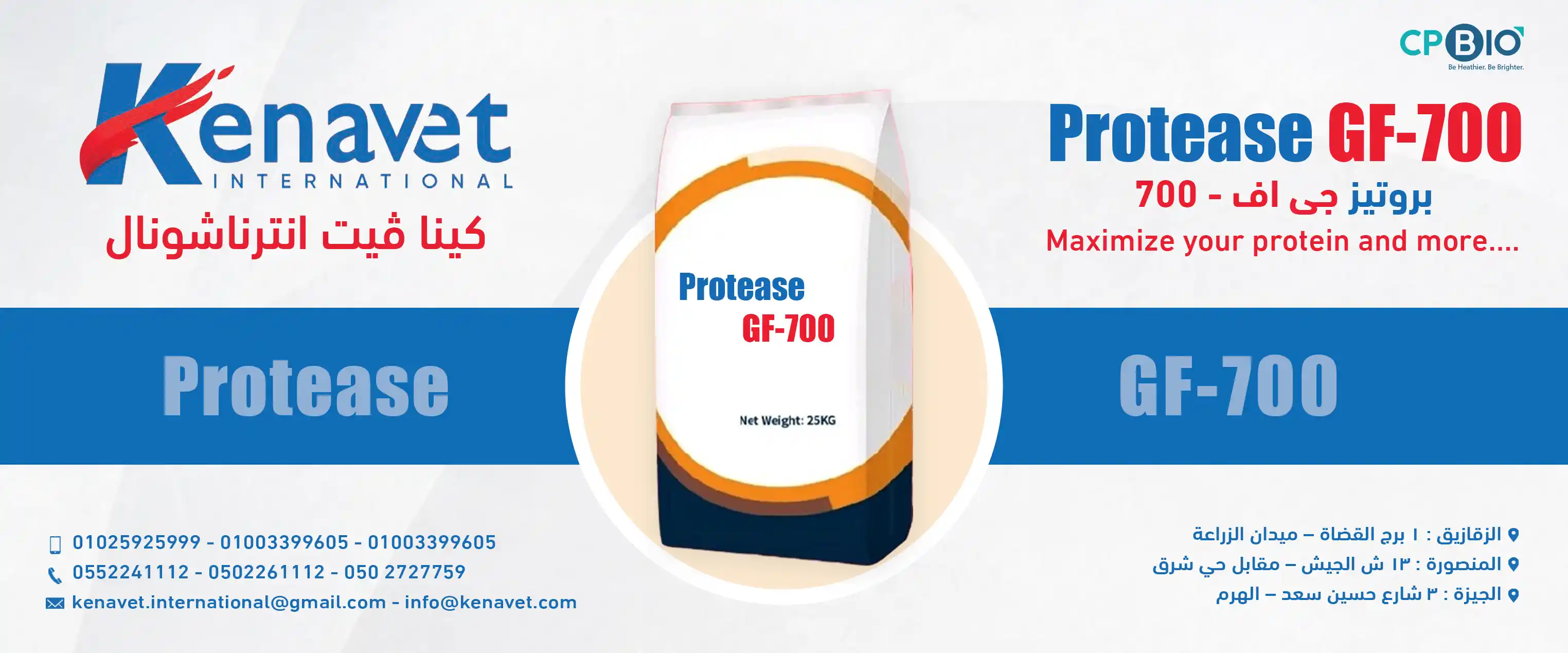 كينا فيت انترناشيونال