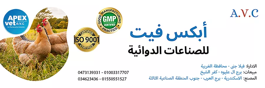 شركة ابكس فيت